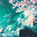 Anime Haven