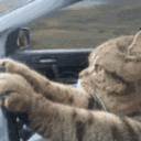 EpicPlay'z World's icon