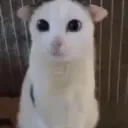 The Autism Corner Discord Server Icon