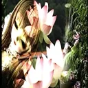 ༘⋆ The Flower Garden ༘⋆ Discord Server Icon