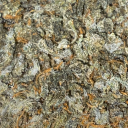 StaxsBeatsEmpire Discord server icon