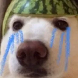 Phoenix Tournament Organisation — мониторинг Discord сервера, статистика и рейтинг