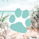 Tropic paws - 🥥 | Safe space |