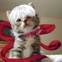 　　　　/bored Discord Server Icon