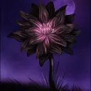 The Black Lotus