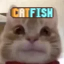 Catfish Collab