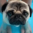 Culture Creation Discord Server Icon