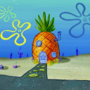 Pineapple Playground