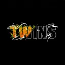 Twins's icon