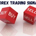 Forex & Crypto Signals's server