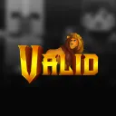 Valid Network