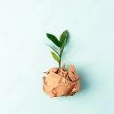 Sustainity Support Space 🌱