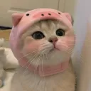 pigiuu's pigsty