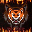 𓃮|Tigers Rewards    Discord Server Icon