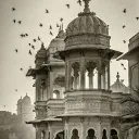 General & Comparative Fiqh الف... Discord Server Icon