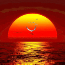 ❄A Chill Place❄ Discord server icon