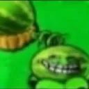 Plants Vs Zombies fan club