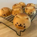 /ᐠ-ꞈ-ᐟ\ ᴄᴀᴛ ᴄᴀꜰᴇ /ᐠ-ꞈ-ᐟ\