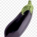 Dick's Discord Server Icon