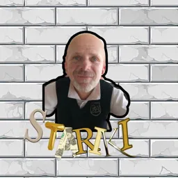 STARIKI — мониторинг Discord сервера, статистика и рейтинг