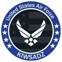[R] United States Air Force Discord Server Icon