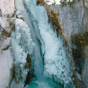The Arctic