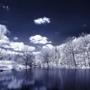 Tranquility