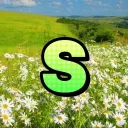 Sworder server резерв