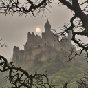 ⁂ 𝐀𝐑𝐂𝐄𝐌 𝐒𝐈𝐃𝐄𝐑𝐔𝐌 ঌ Discord server icon