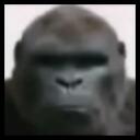 The Foid Cave Discord Server Icon