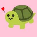 Turtle level
