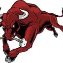 The Bull Arena