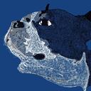 The Unknown Community (UC) Discord Server Icon