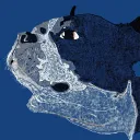 The Unknown Community (UC) Discord Server Icon