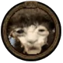 BiddoBams Gaming