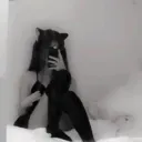 /creeper pfps , nitro , social Discord Server Icon