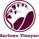 Marlowe Vineyard