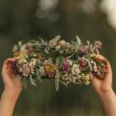 Foliage Friends Discord Server Icon