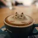 Cafe's Wonder