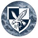 16AA Milsim Discord Server Icon