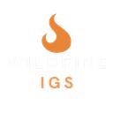 WIGS - community Discord Server Icon