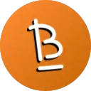 Byoo_, Le Serveur