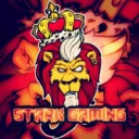 STARK Gaming TEAM