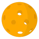 r/Pickleball