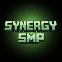 SYNERGY SMP ｜Public
