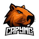 CapyMC.pl | DZIĘKUJEMY    Discord Server Icon