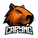 CapyMC.pl | DZIĘKUJEMY  Banner