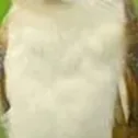 GGCZ Official's icon