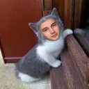 💿 Pray for the Meowside ♬⋆.˚