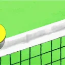 The Tennis Consultant